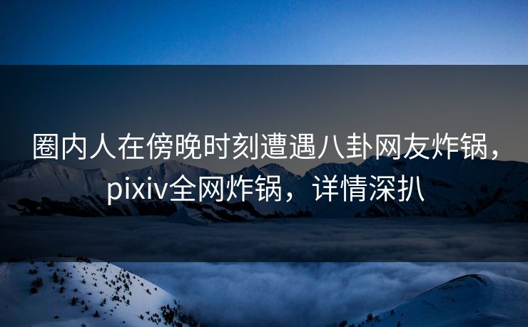 圈内人在傍晚时刻遭遇八卦网友炸锅，pixiv全网炸锅，详情深扒