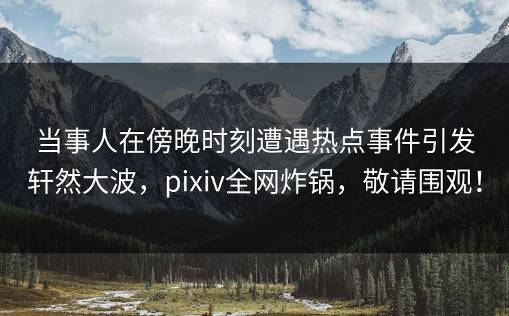 当事人在傍晚时刻遭遇热点事件引发轩然大波，pixiv全网炸锅，敬请围观！